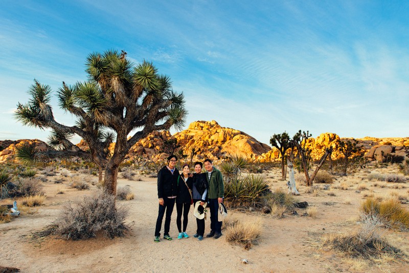 joshuatree