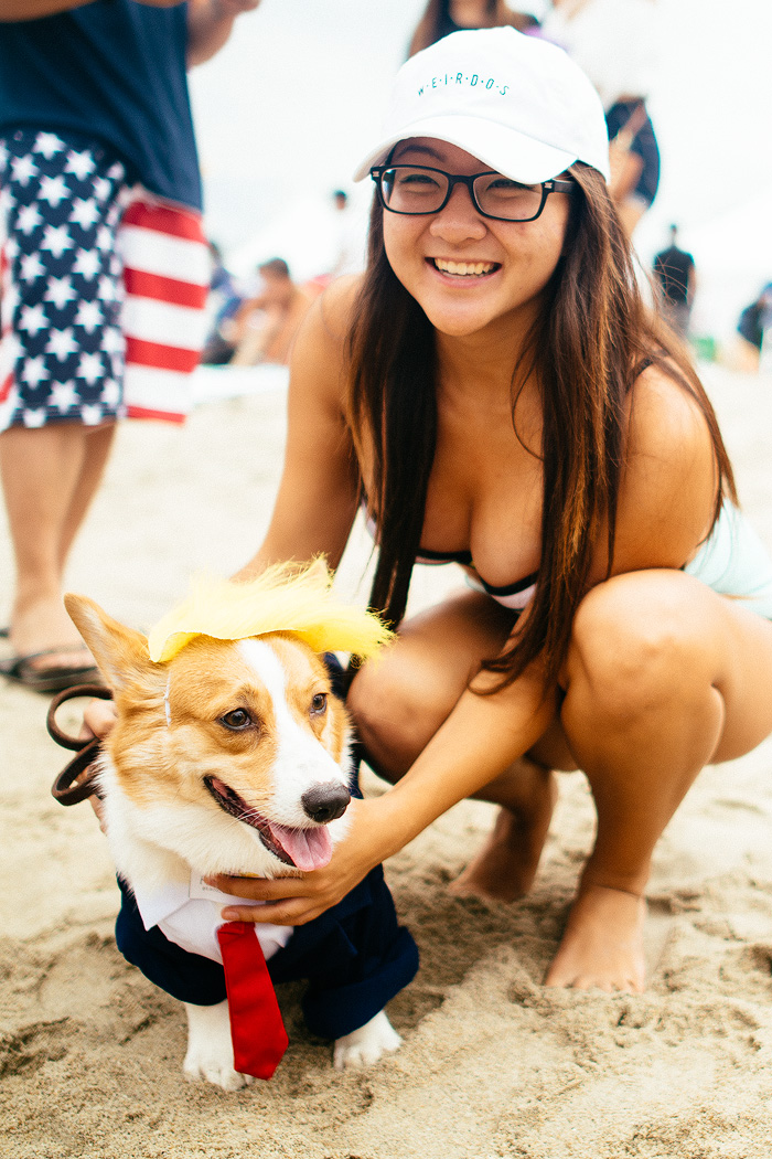 Corgie14